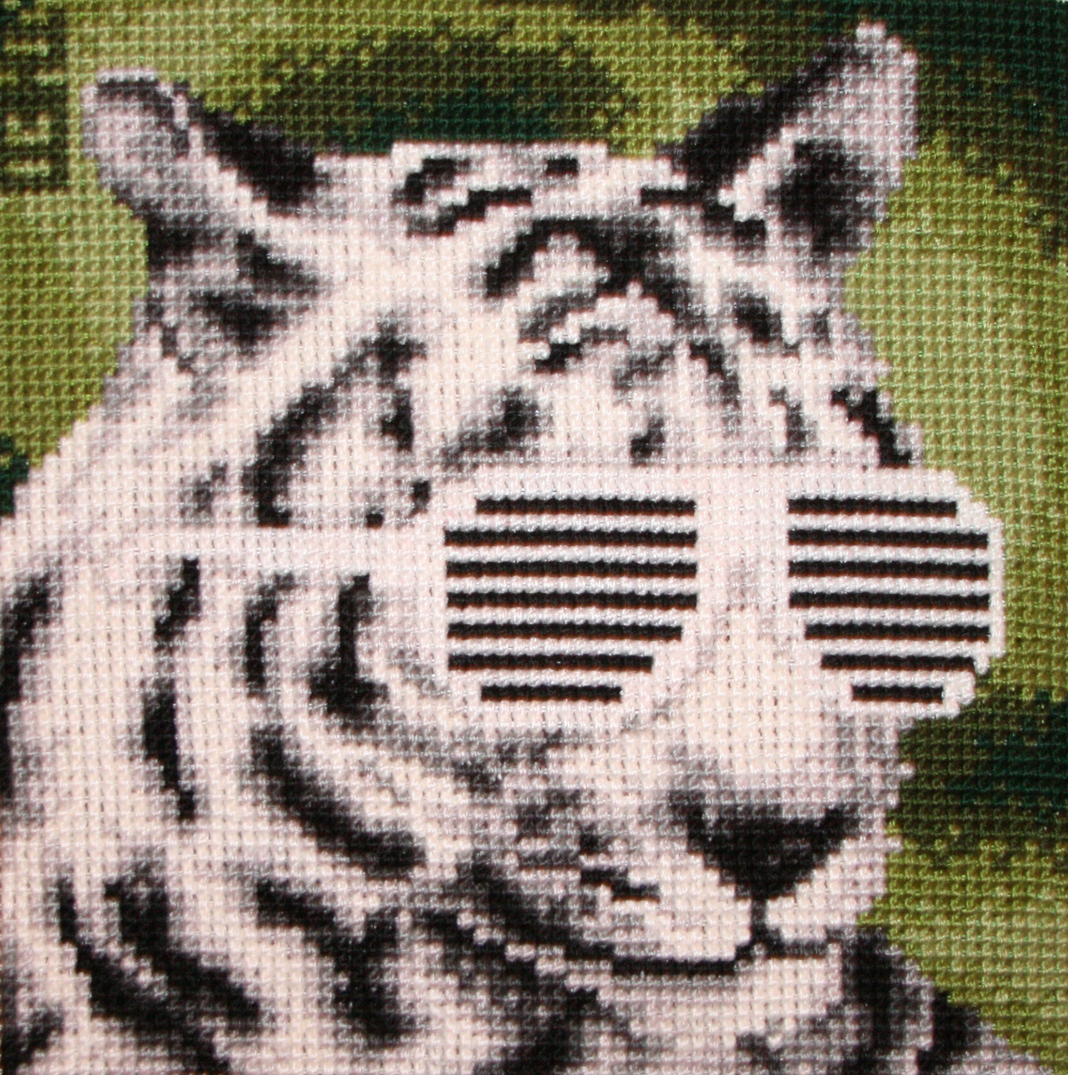 ‘BIG CATS IN SHADES’ collection