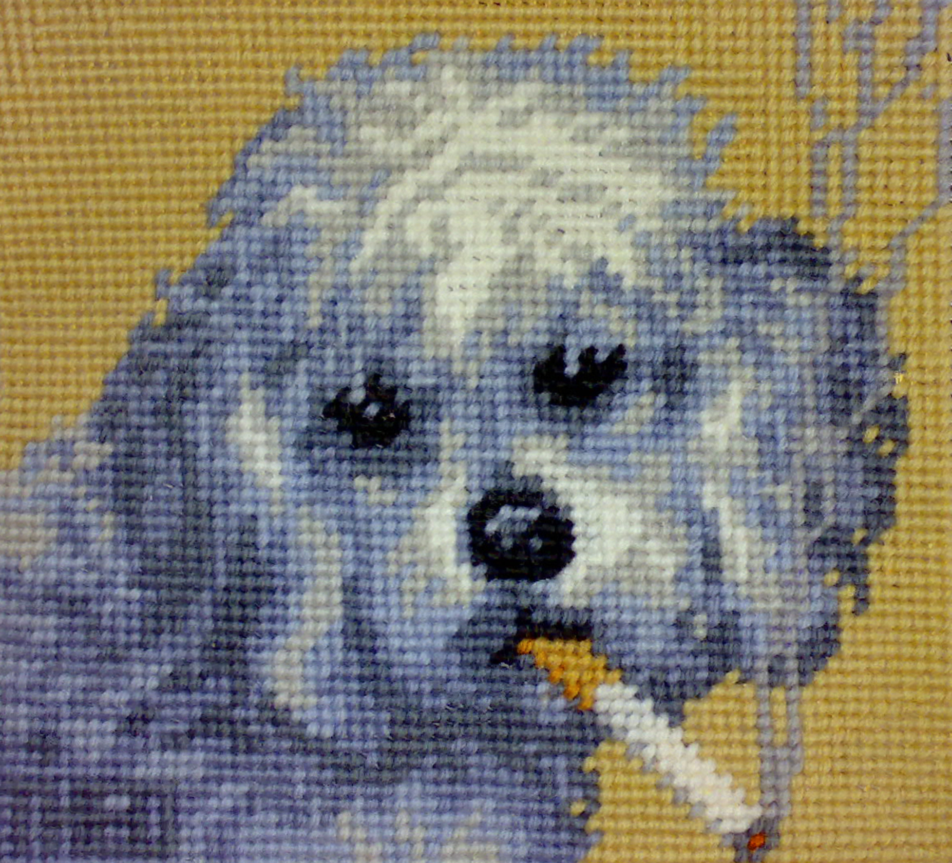 ‘SMOKING DOGS’ collection